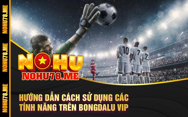 Hướng Dẫn Cách Sử Dụng Các Tính Năng Trên Bongdalu Vip